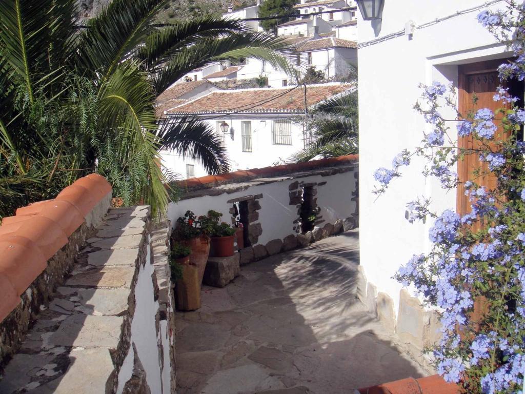 Apartamentos Buganvilla Villaluenga Del Rosario Pokój zdjęcie